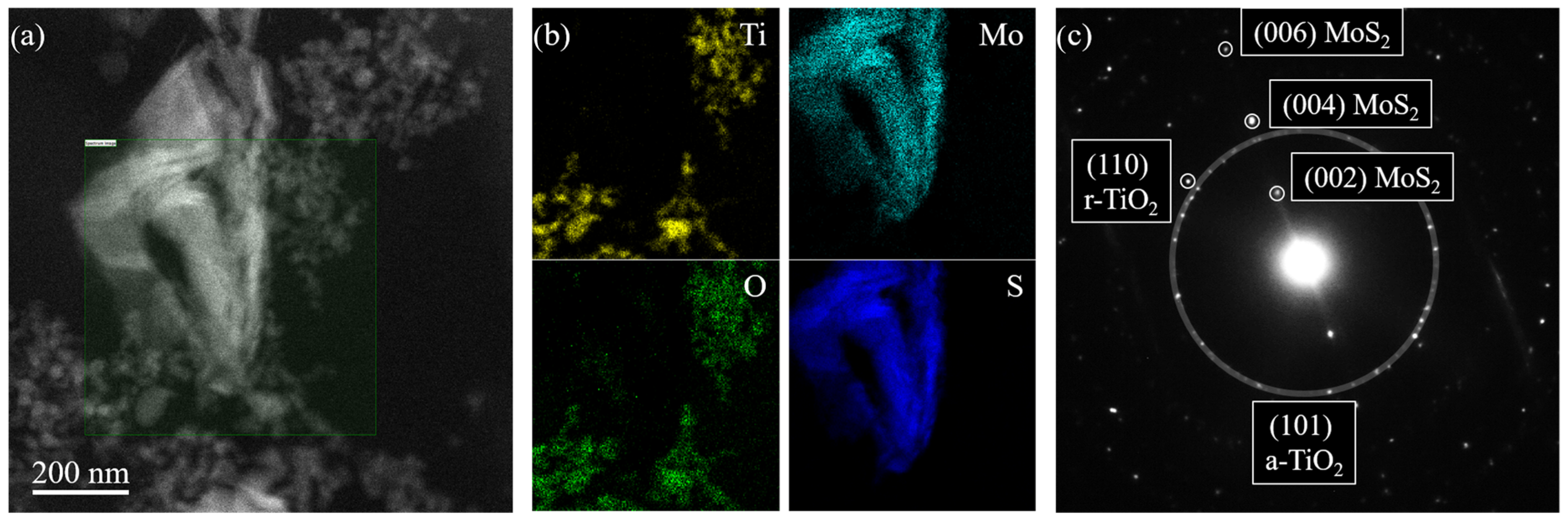 Polymers 16 01200 g002