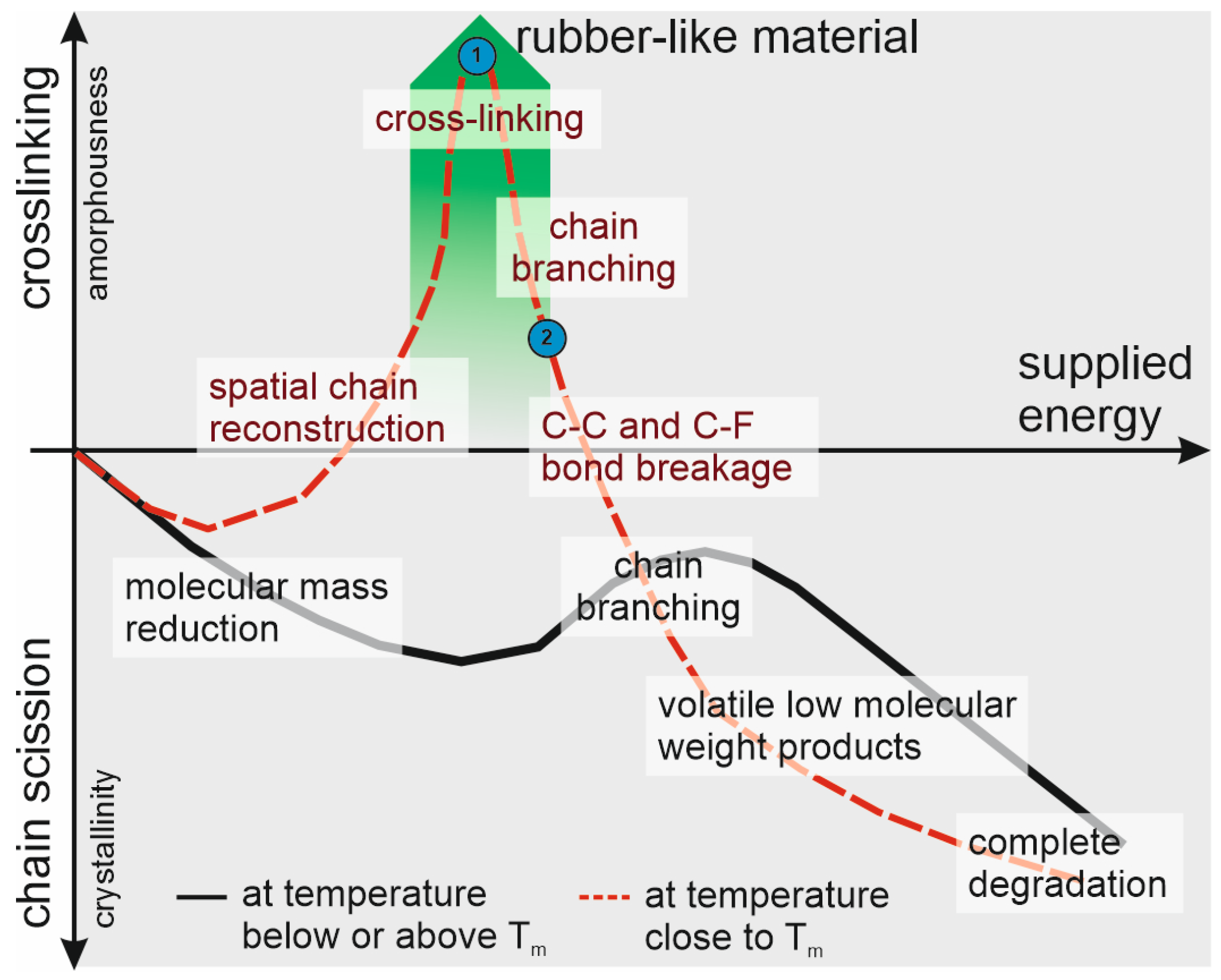 Polymers 16 01205 g006