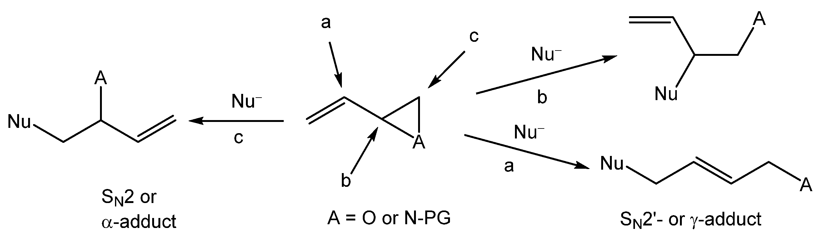 Polymers 16 01207 sch001