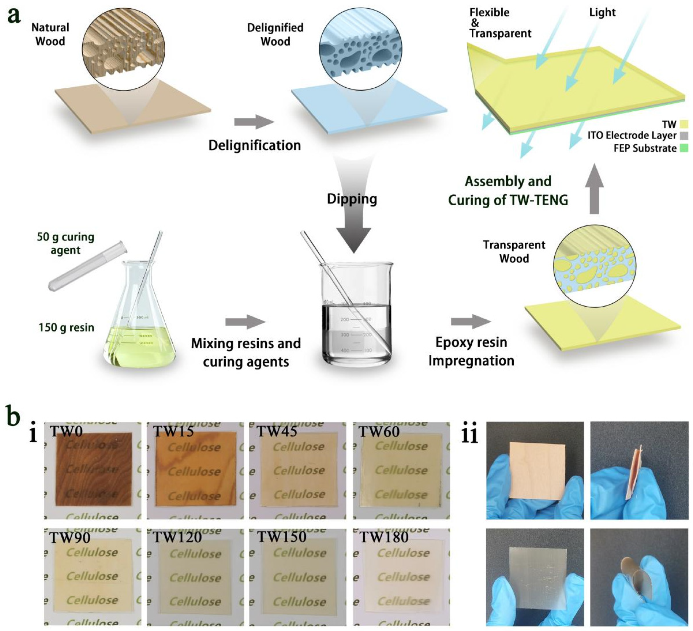 Polymers 16 01208 g001