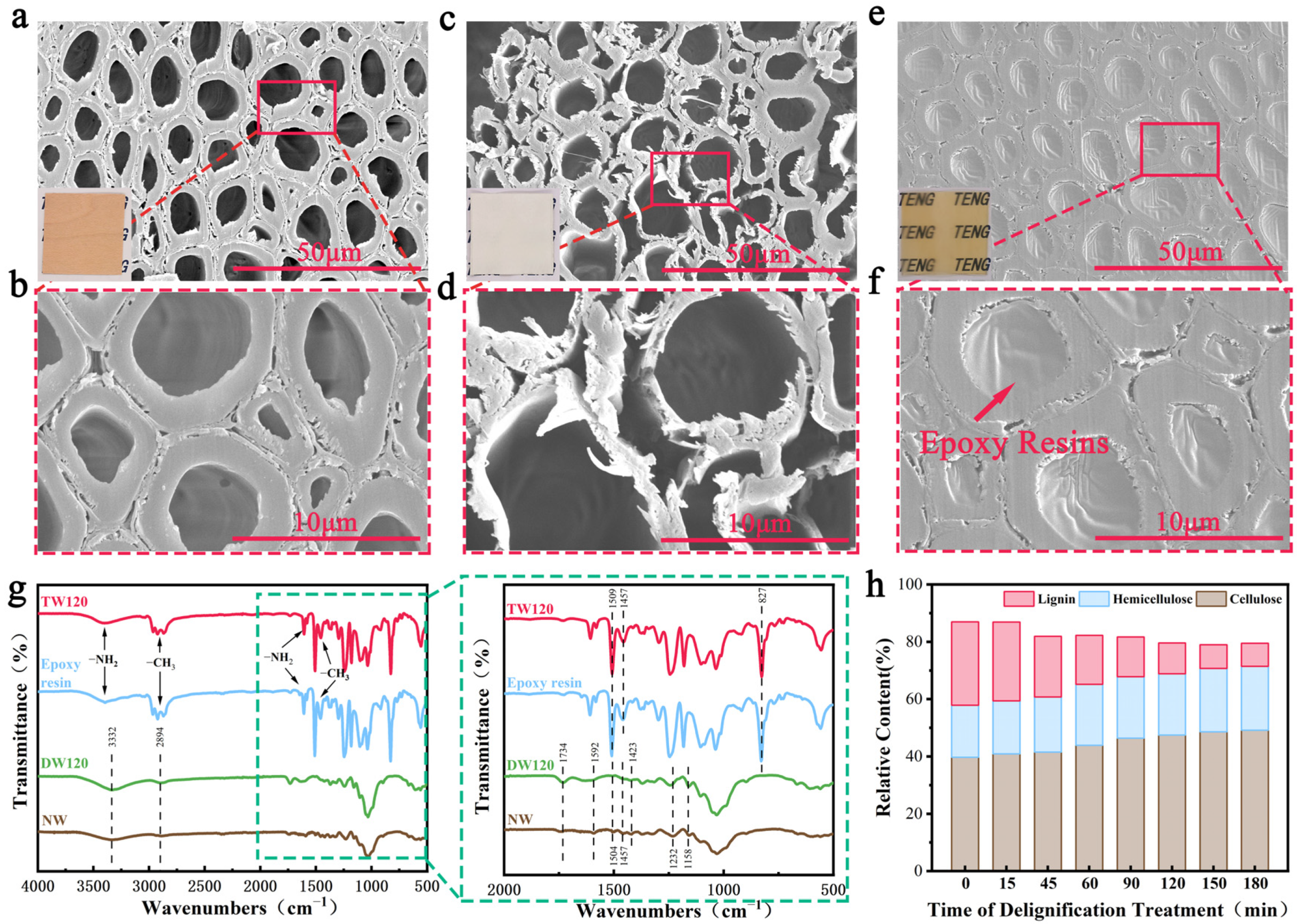 Polymers 16 01208 g002