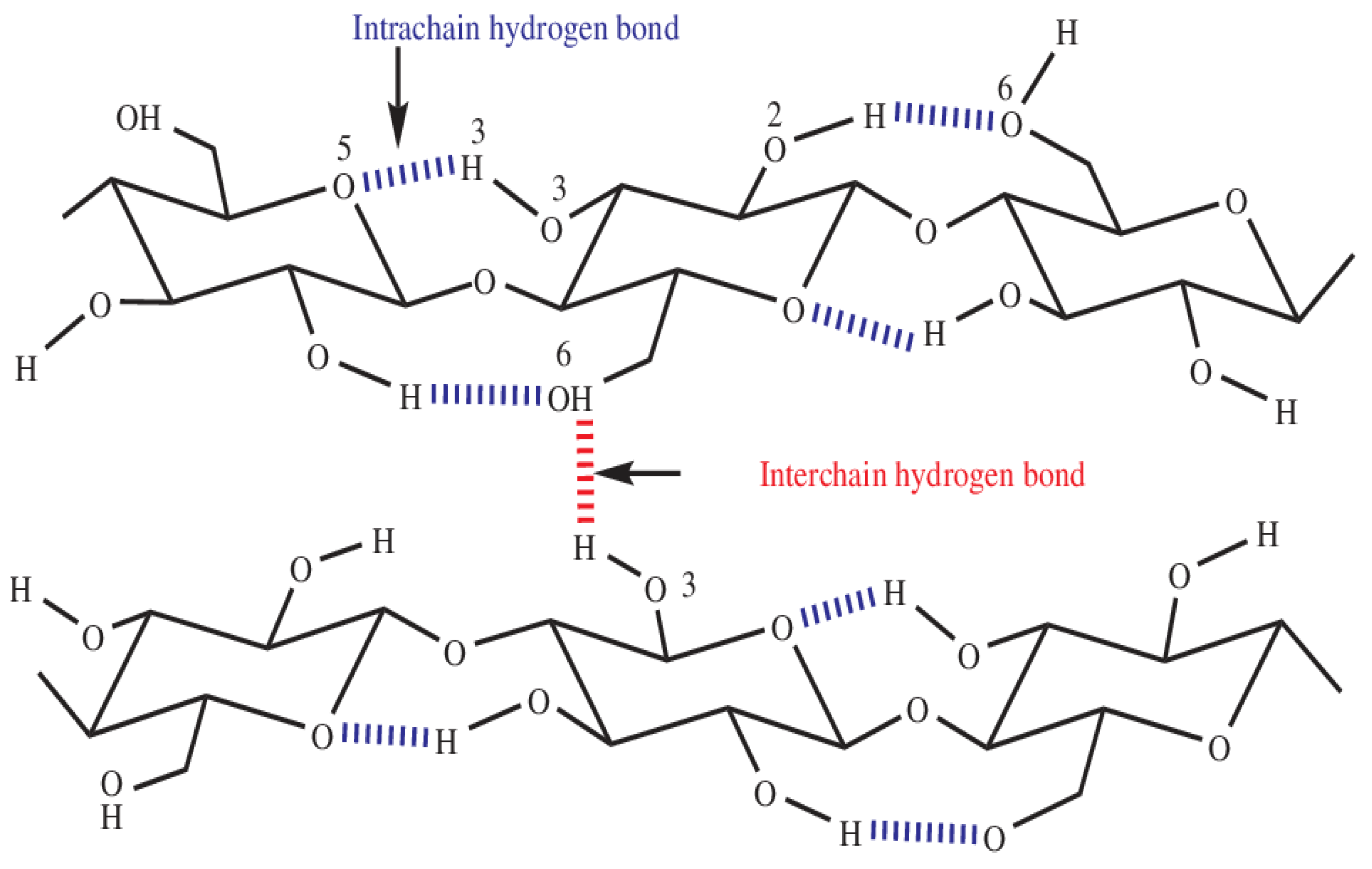 Polymers 16 01211 g006