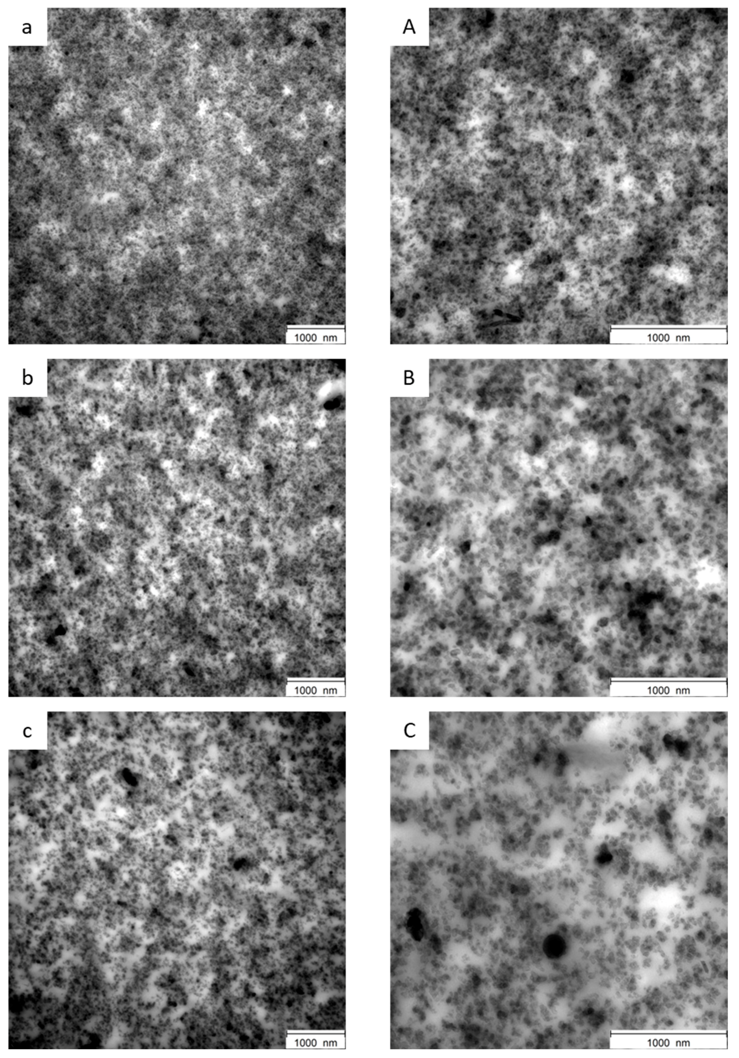 Polymers 16 01214 g007