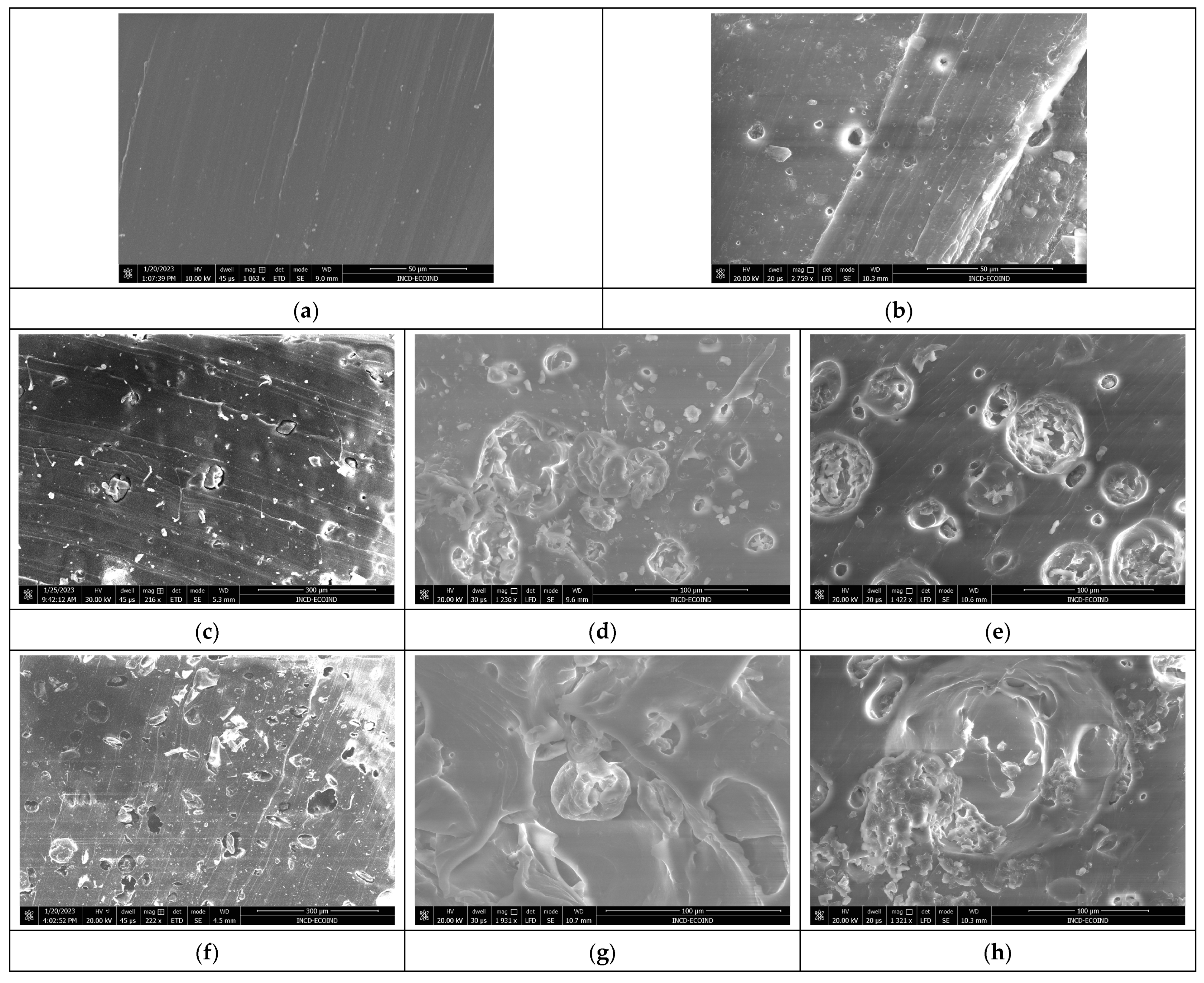 Polymers 16 01218 g007a Polymers 16 01218 g007a