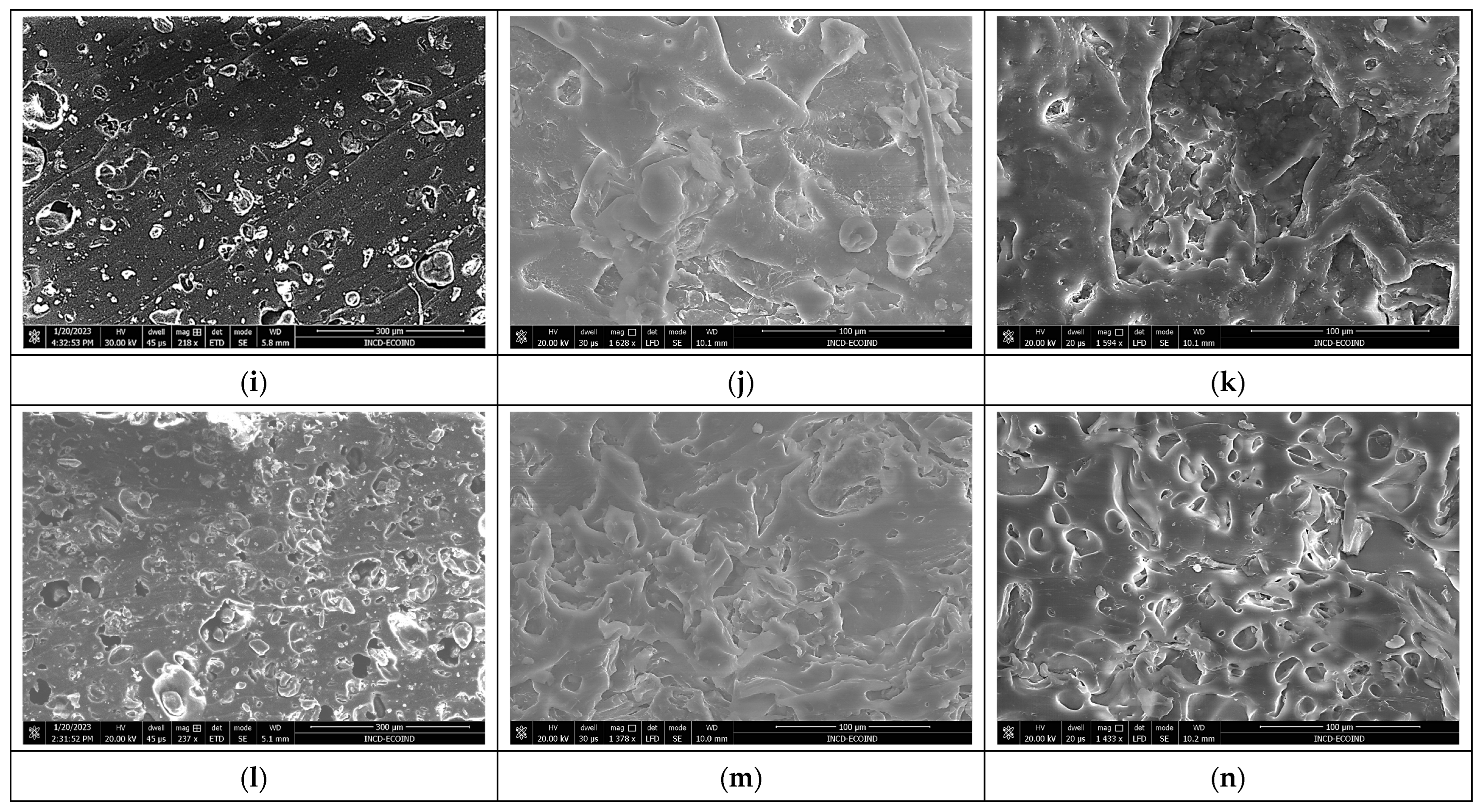 Polymers 16 01218 g007b Polymers 16 01218 g007b