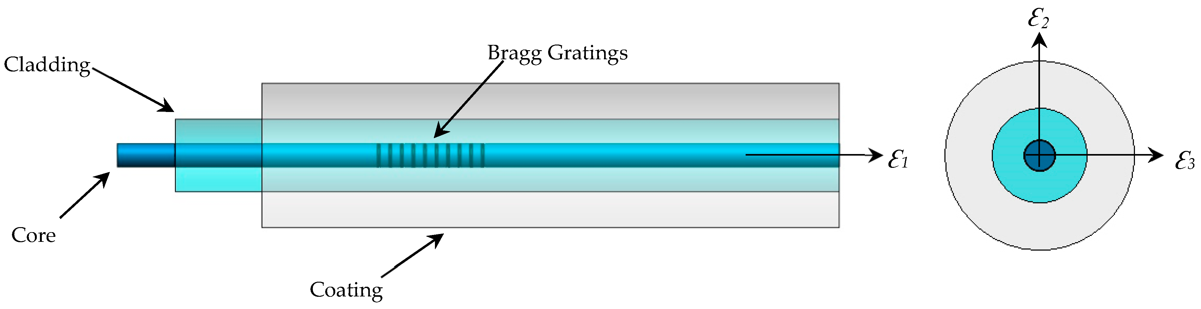 Polymers 16 01223 g003