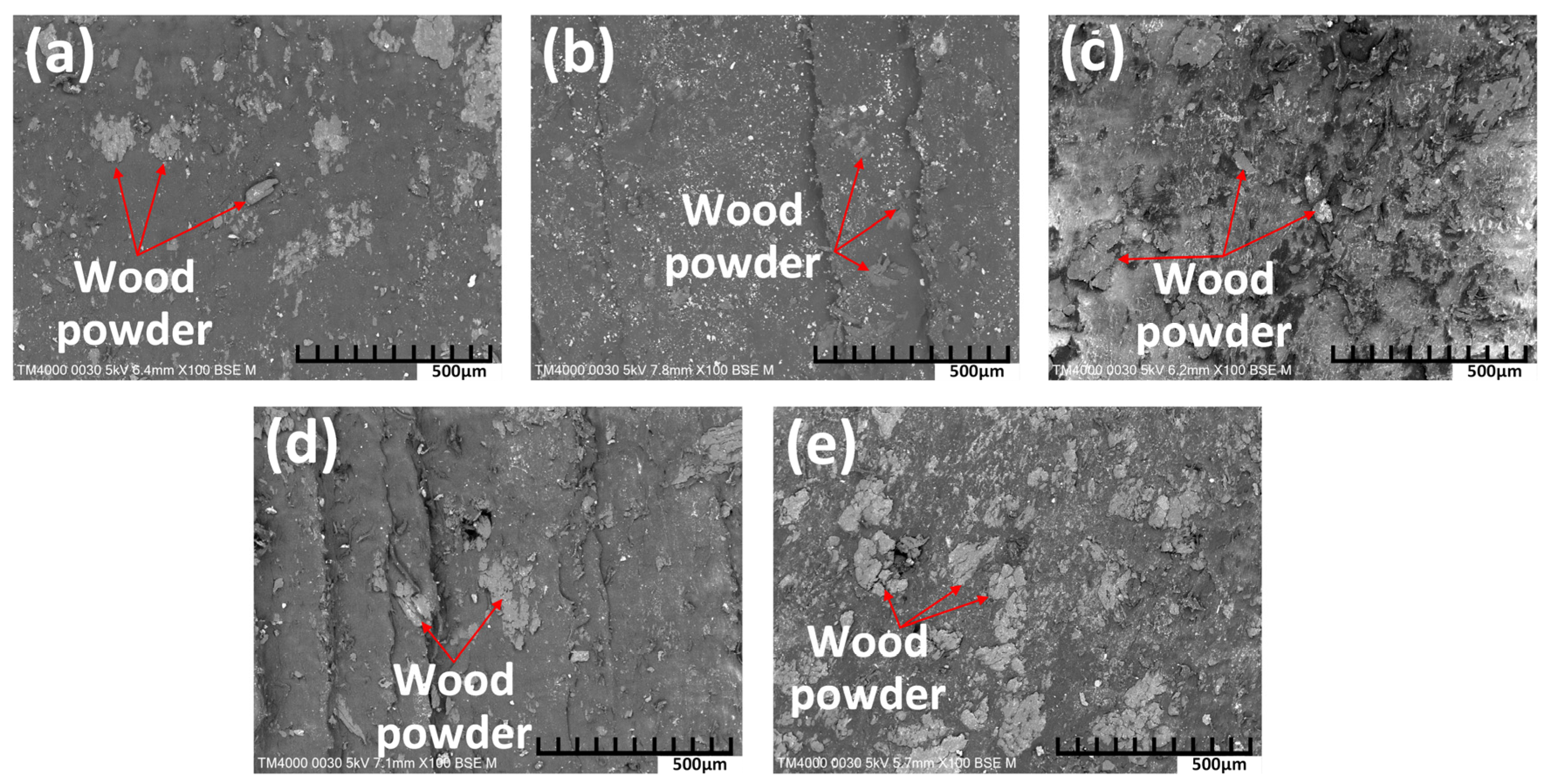 Polymers 16 01225 g010