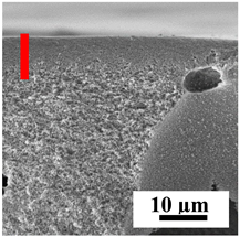 Polymers 16 01236 i002