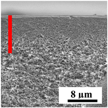 Polymers 16 01236 i003