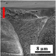 Polymers 16 01236 i006