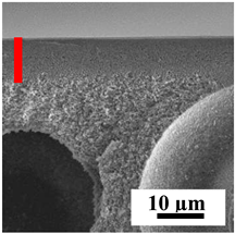 Polymers 16 01236 i008