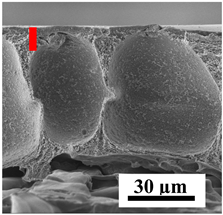 Polymers 16 01236 i010