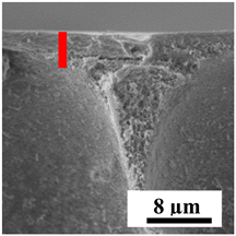Polymers 16 01236 i012