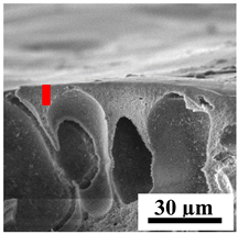 Polymers 16 01236 i013