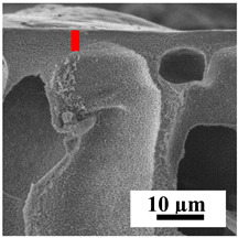 Polymers 16 01236 i020