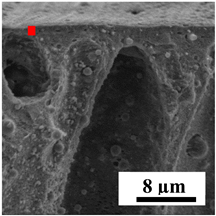 Polymers 16 01236 i027