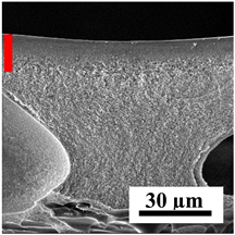 Polymers 16 01236 i028