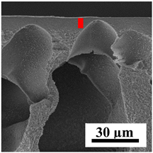Polymers 16 01236 i031