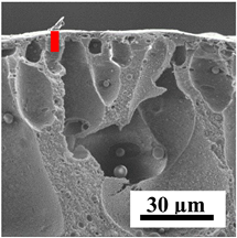 Polymers 16 01236 i037