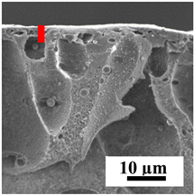 Polymers 16 01236 i038