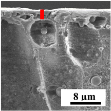 Polymers 16 01236 i039