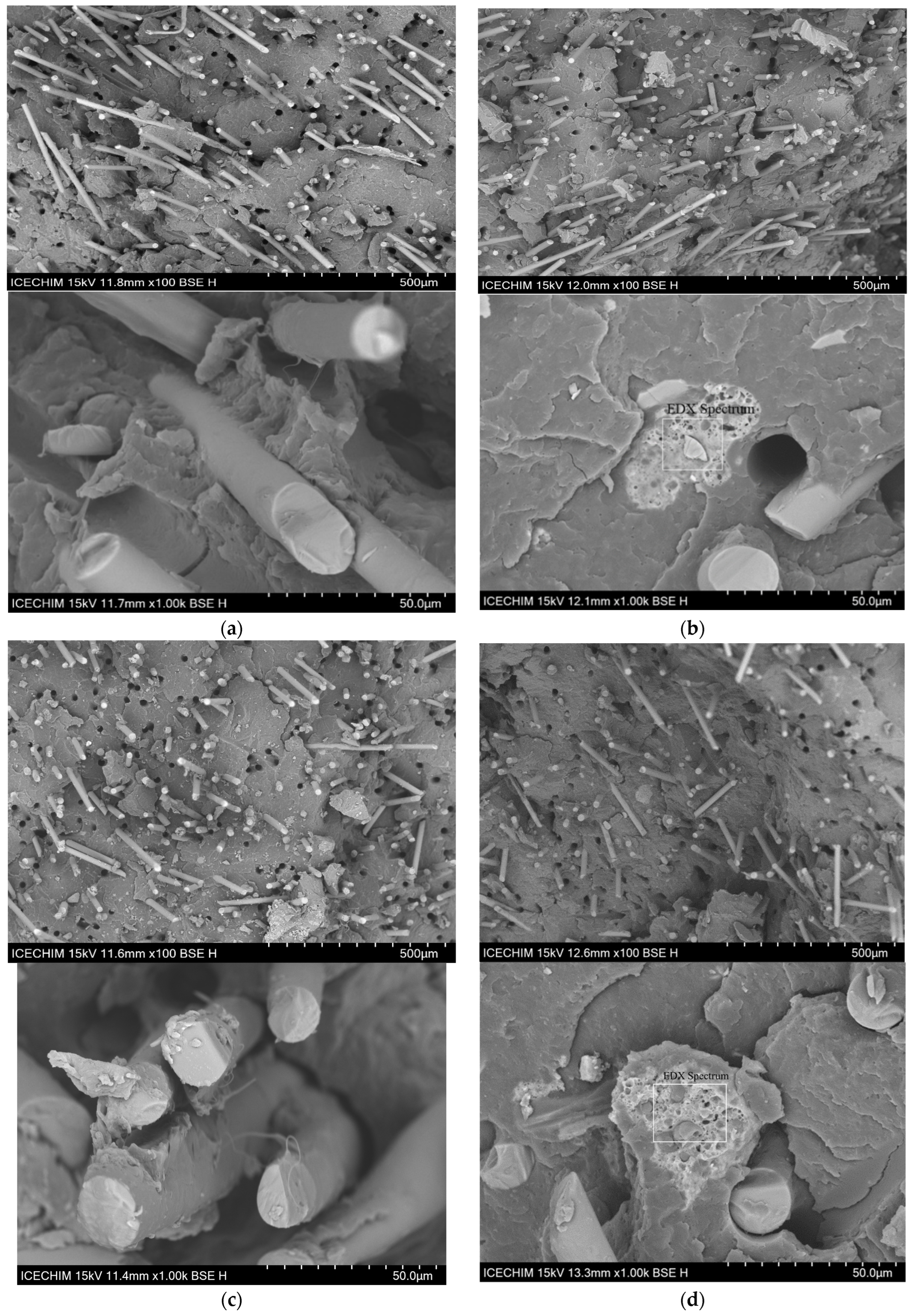 Polymers 16 01238 g007
