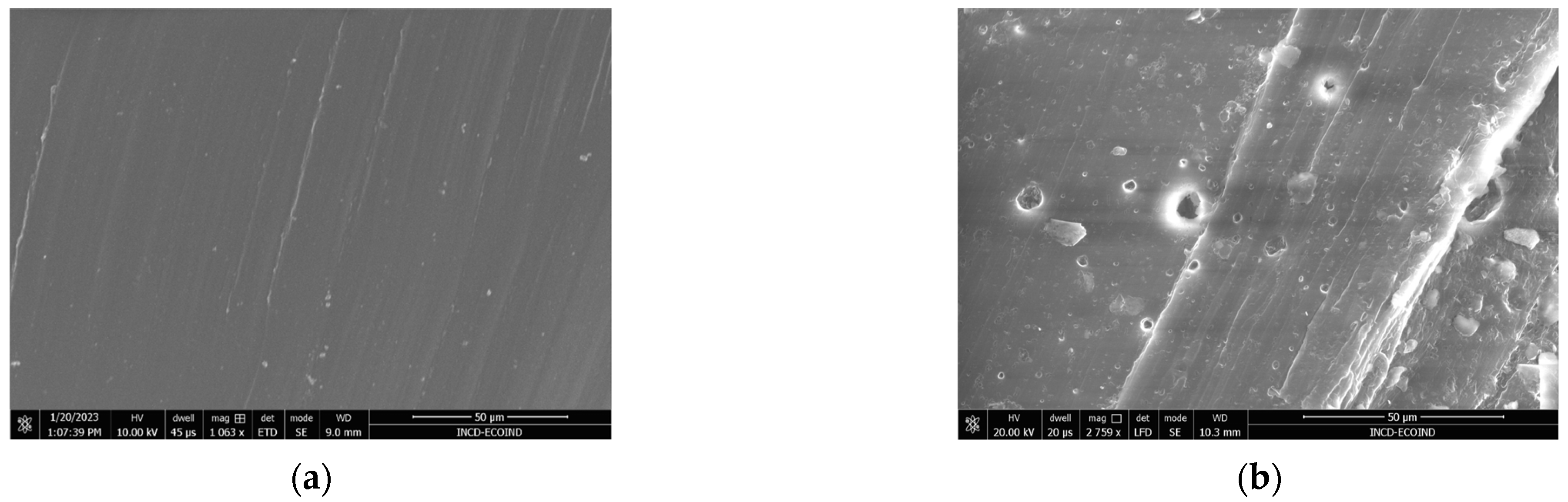 Polymers 16 01241 g010a Polymers 16 01241 g010a
