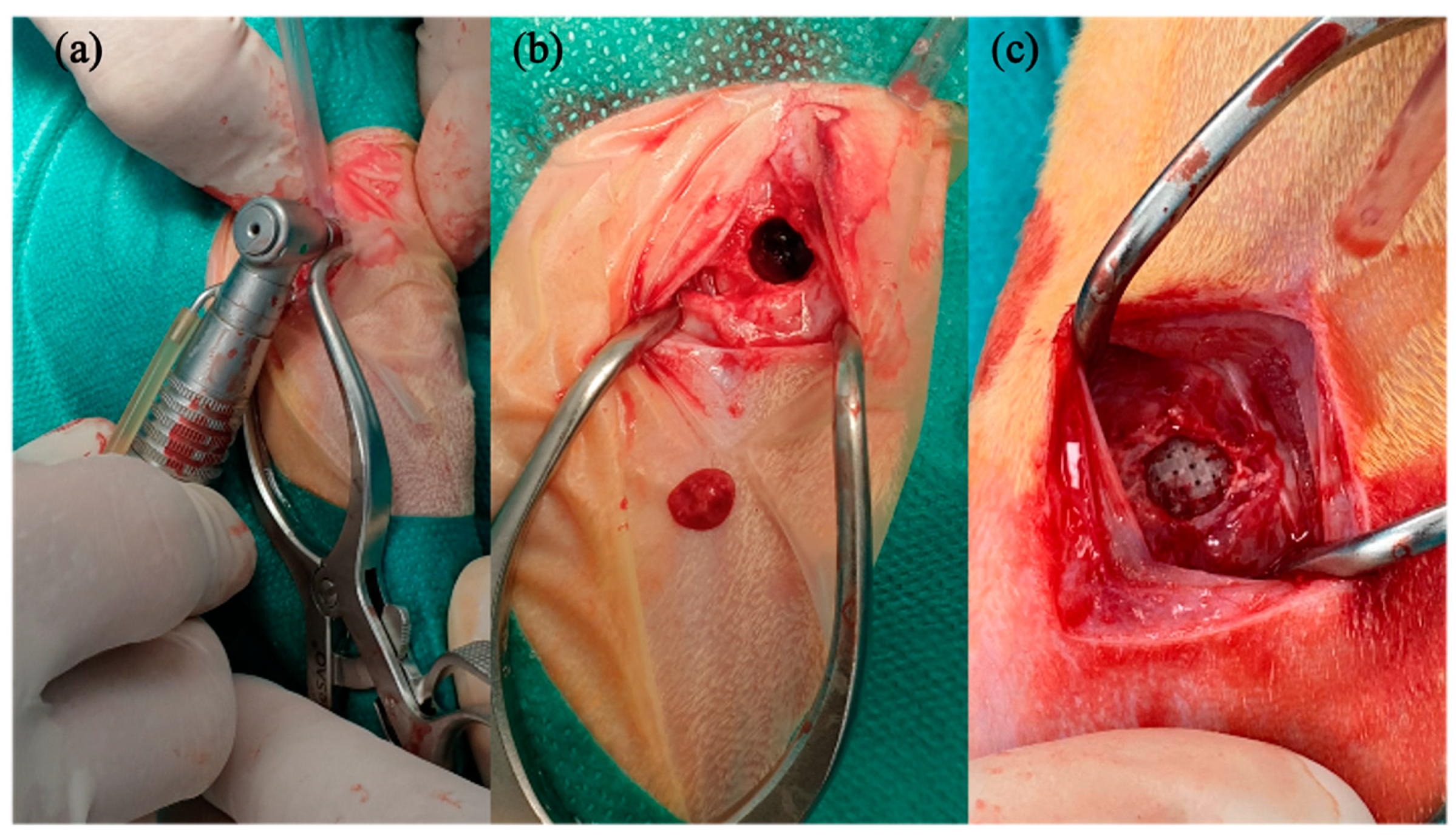 Polymers 16 01243 g002