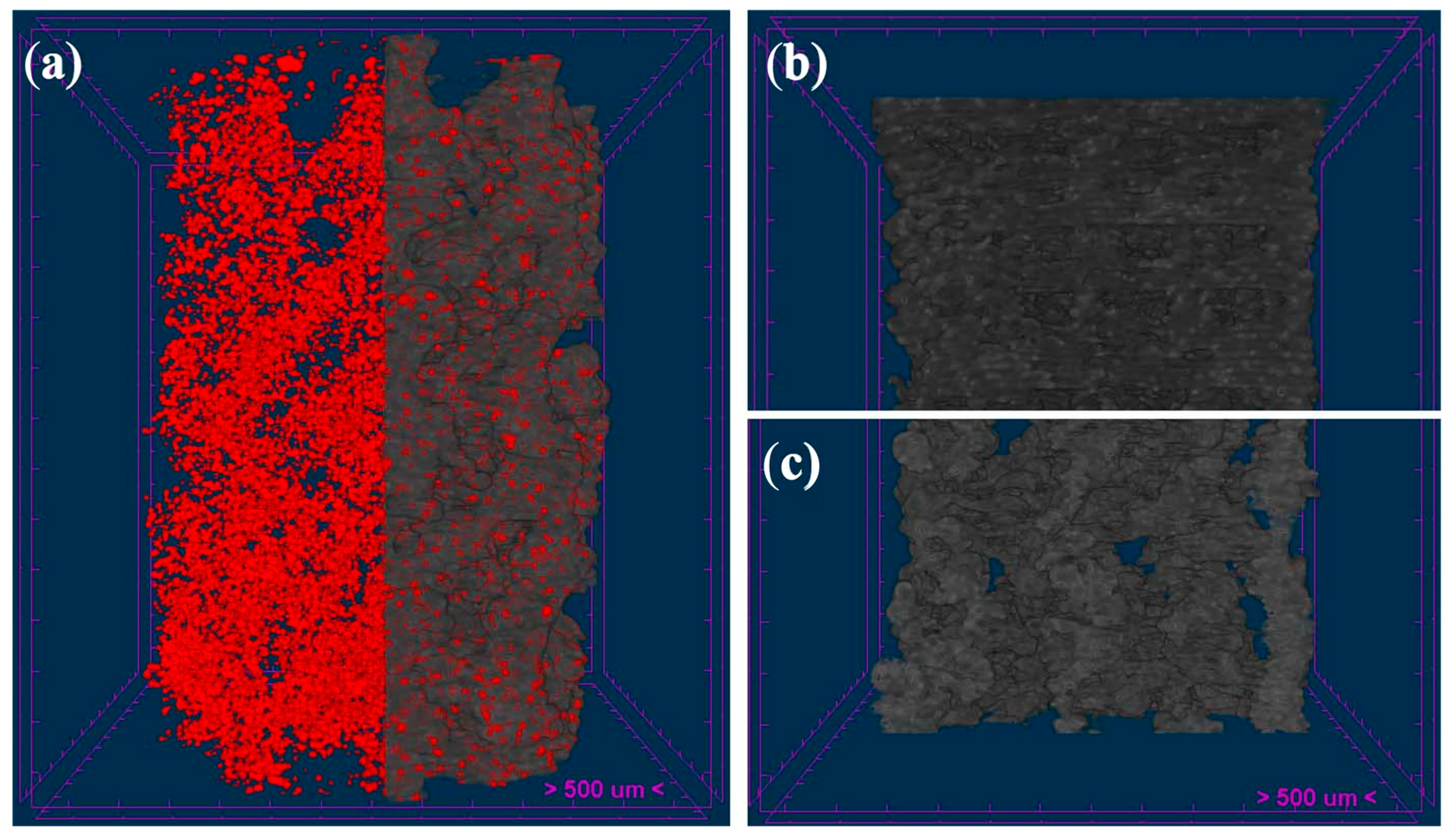 Polymers 16 01243 g006