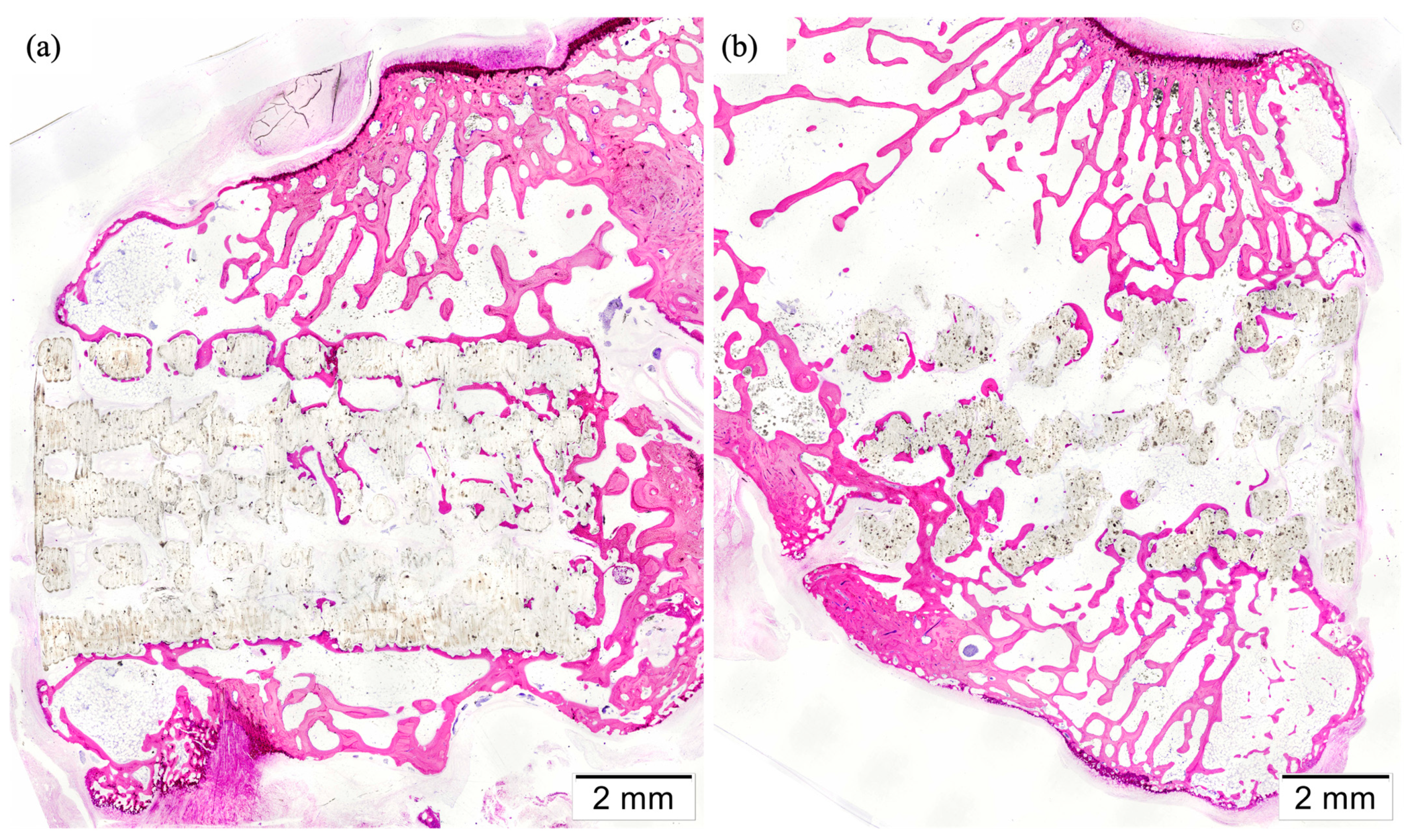 Polymers 16 01243 g011