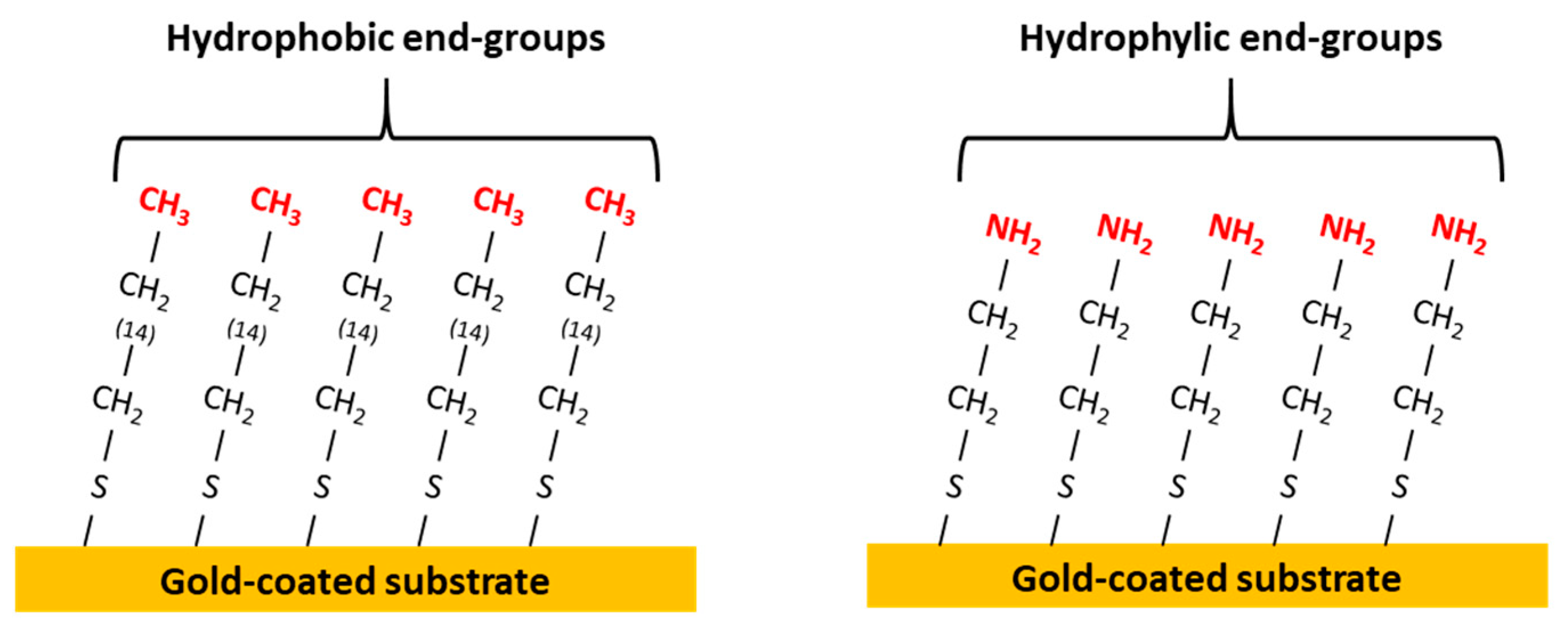 Polymers 16 01244 g002