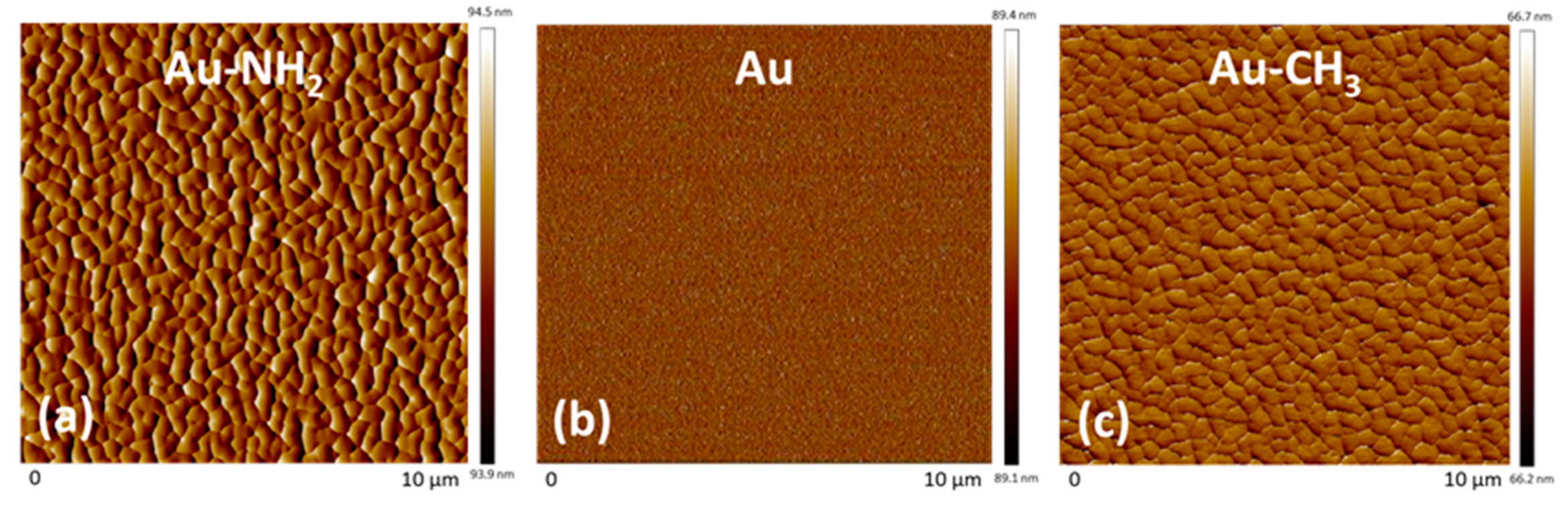 Polymers 16 01244 g006