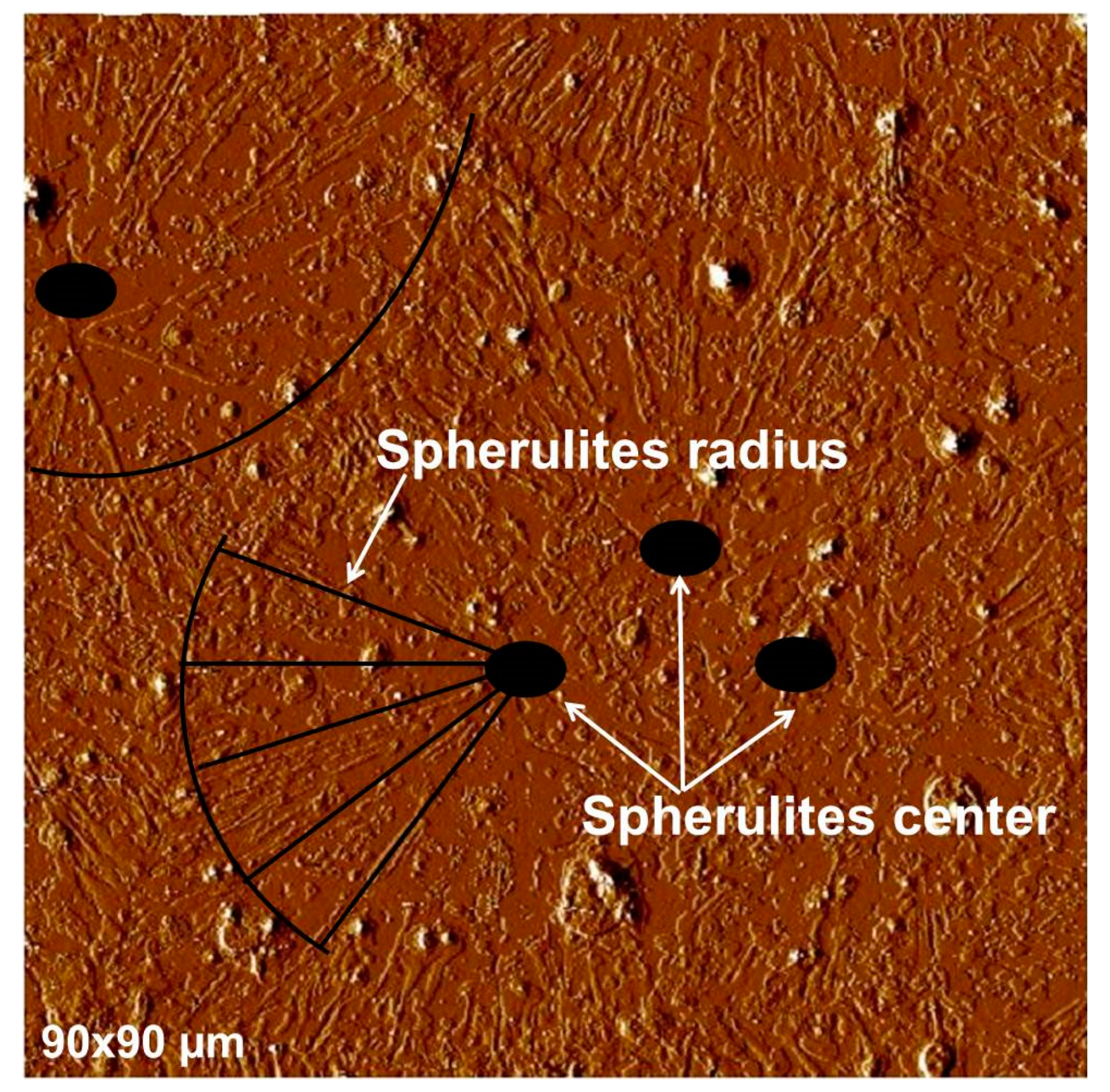 Polymers 16 01244 g008