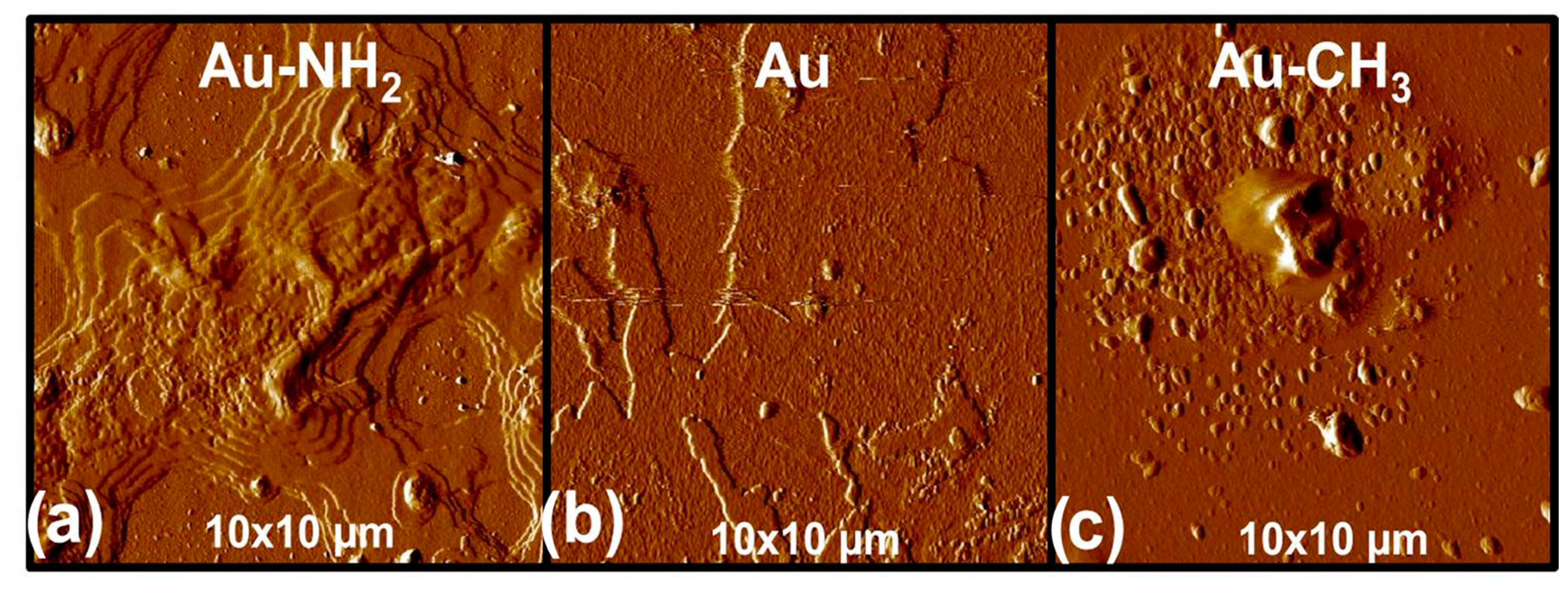 Polymers 16 01244 g014