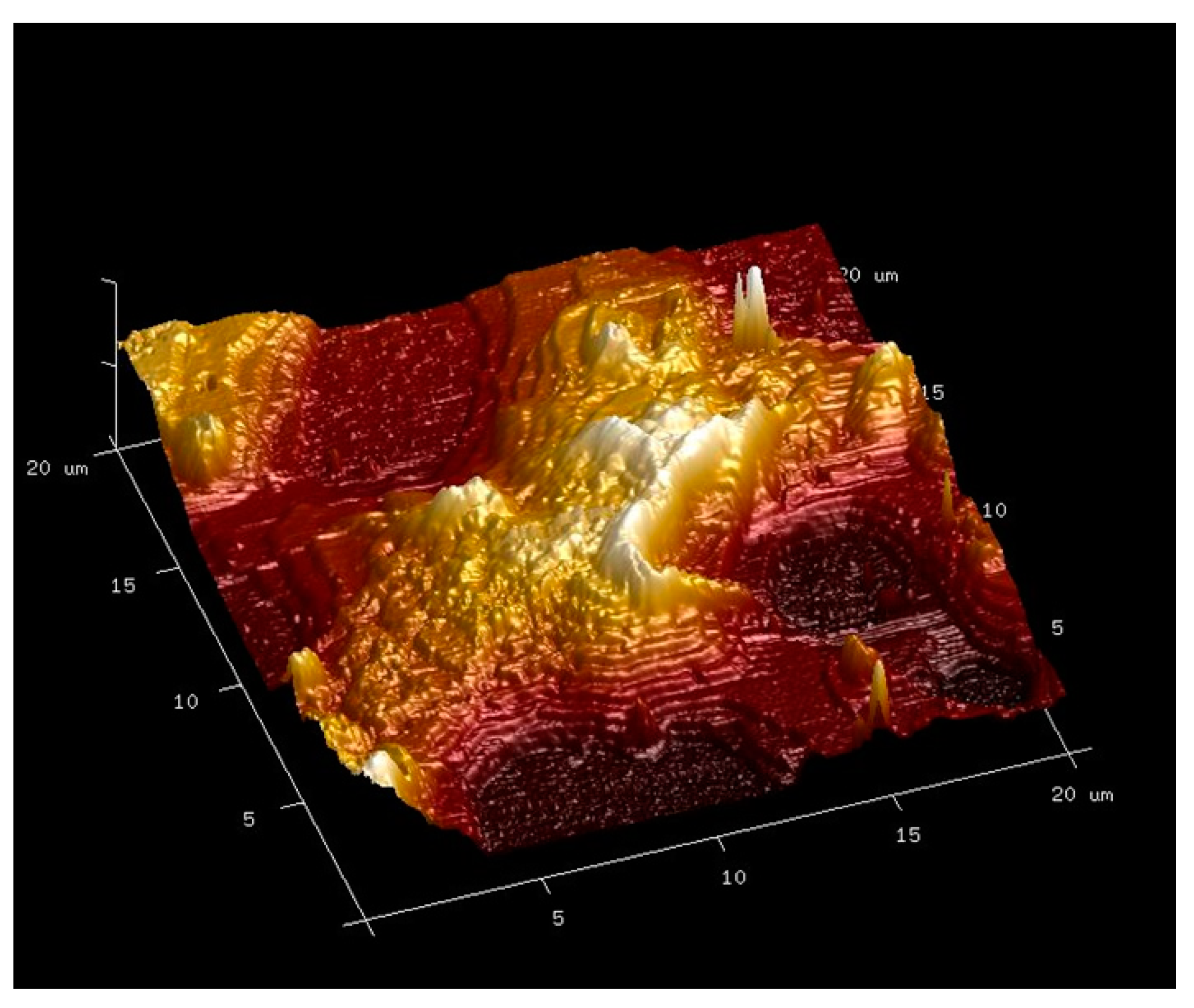Polymers 16 01244 g015