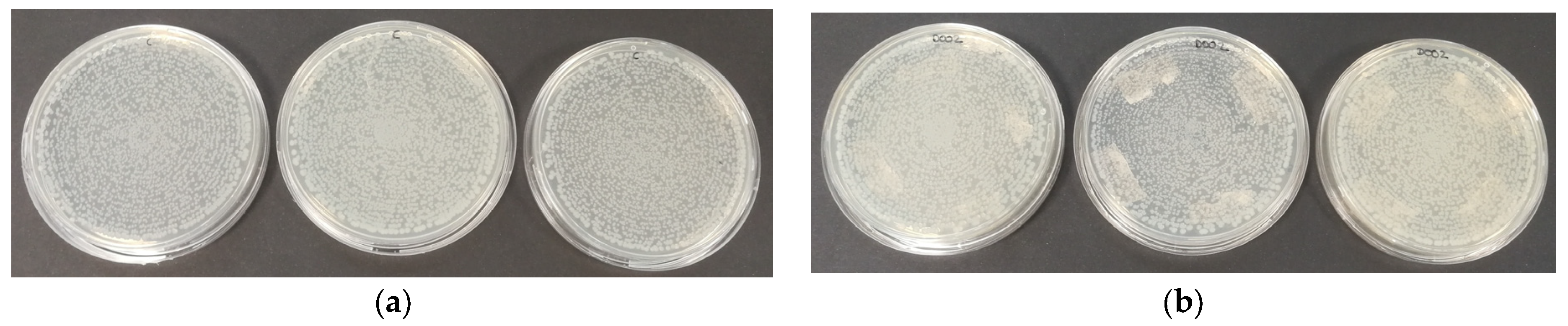 Polymers 16 01245 g006 Polymers 16 01245 g006