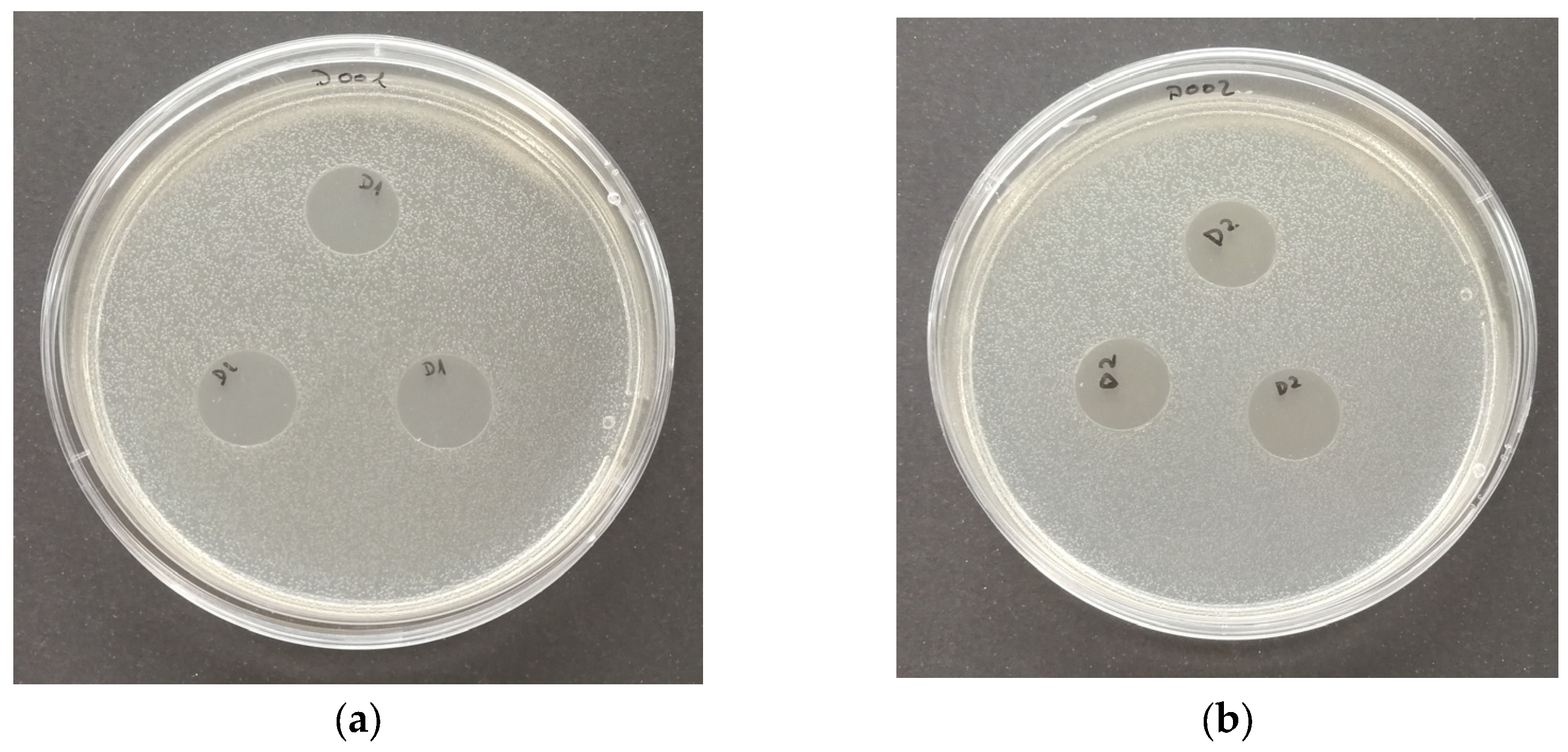 Polymers 16 01245 g010 Polymers 16 01245 g010
