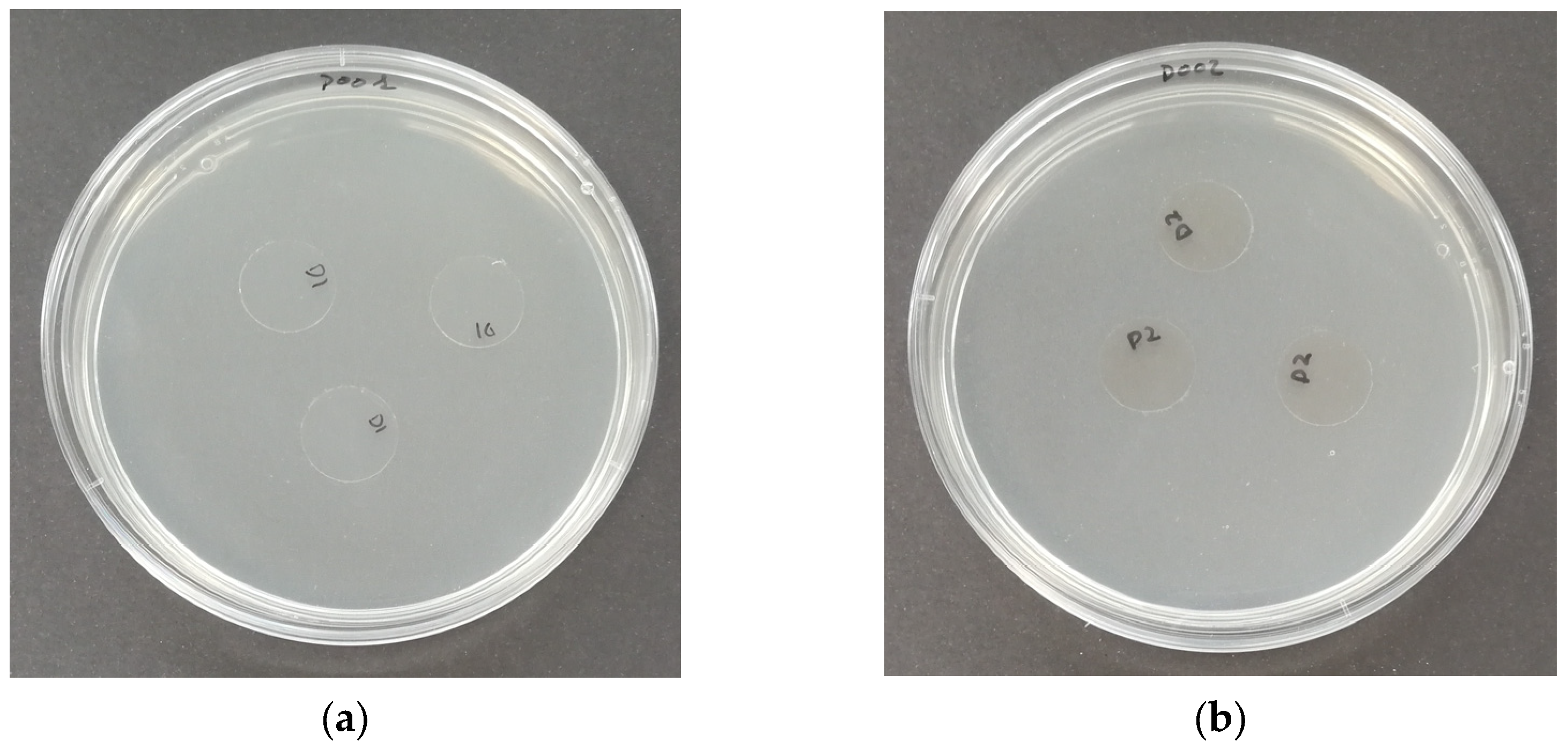 Polymers 16 01245 g011 Polymers 16 01245 g011