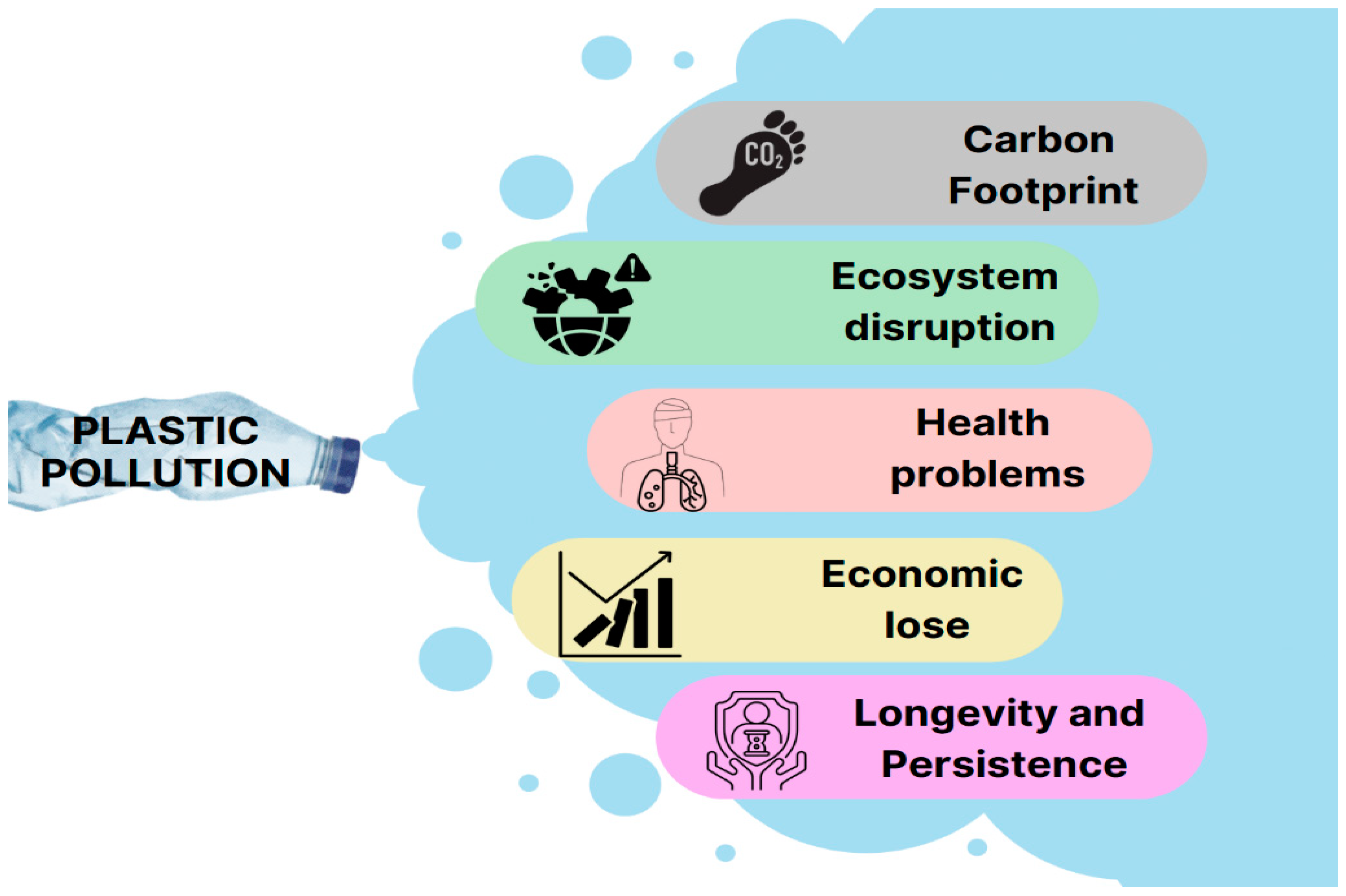Polymers 16 01246 g001