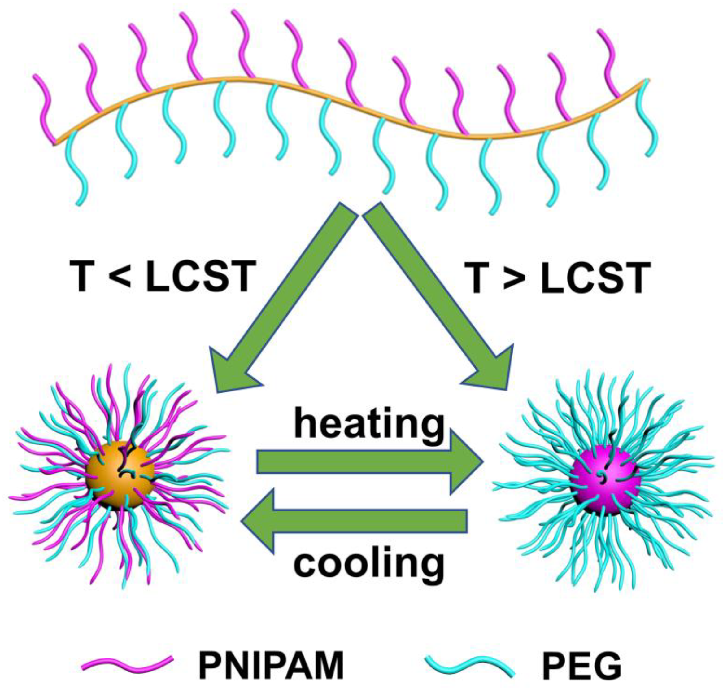 Polymers 16 01248 g012