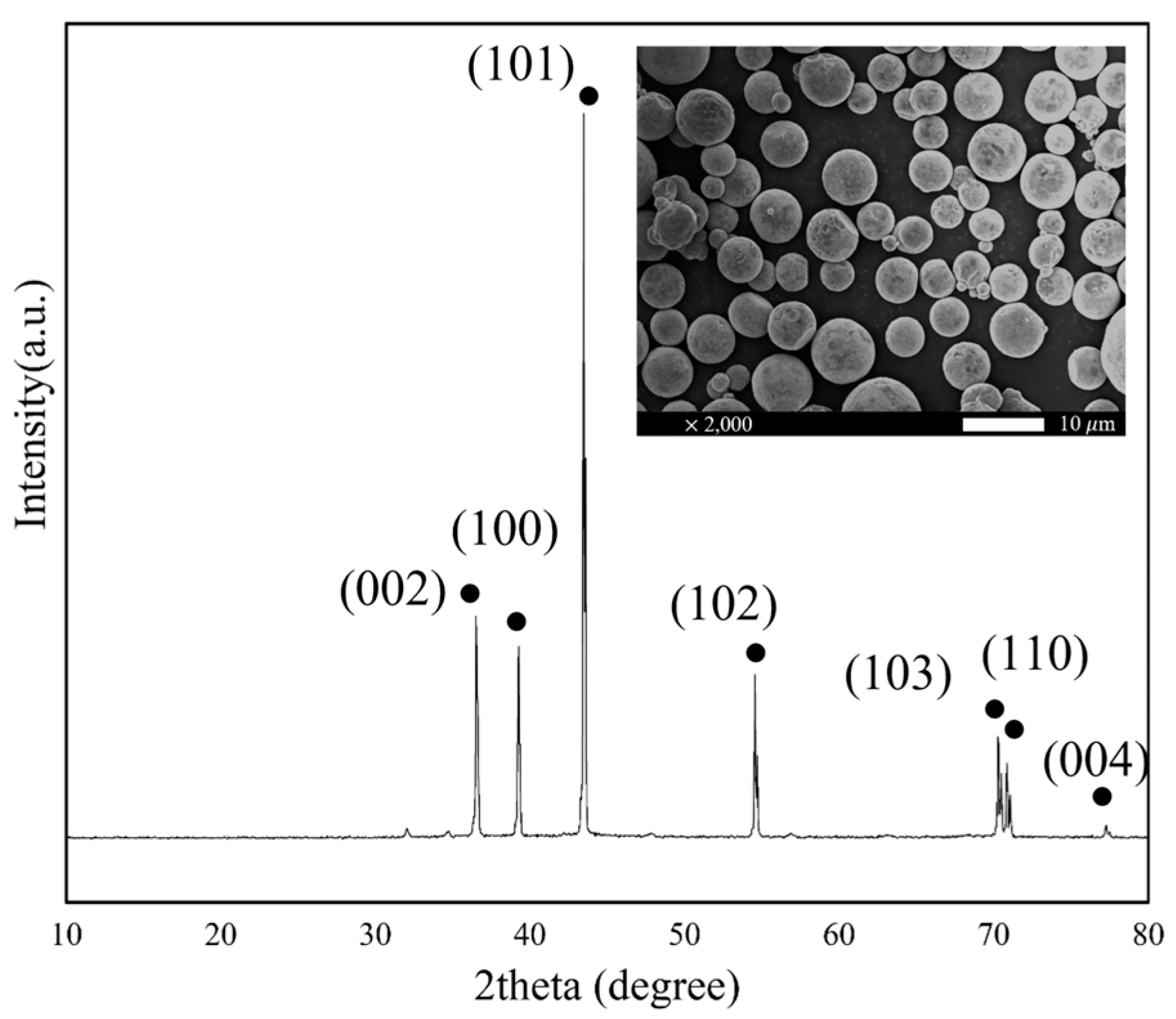 Polymers 16 01252 g002