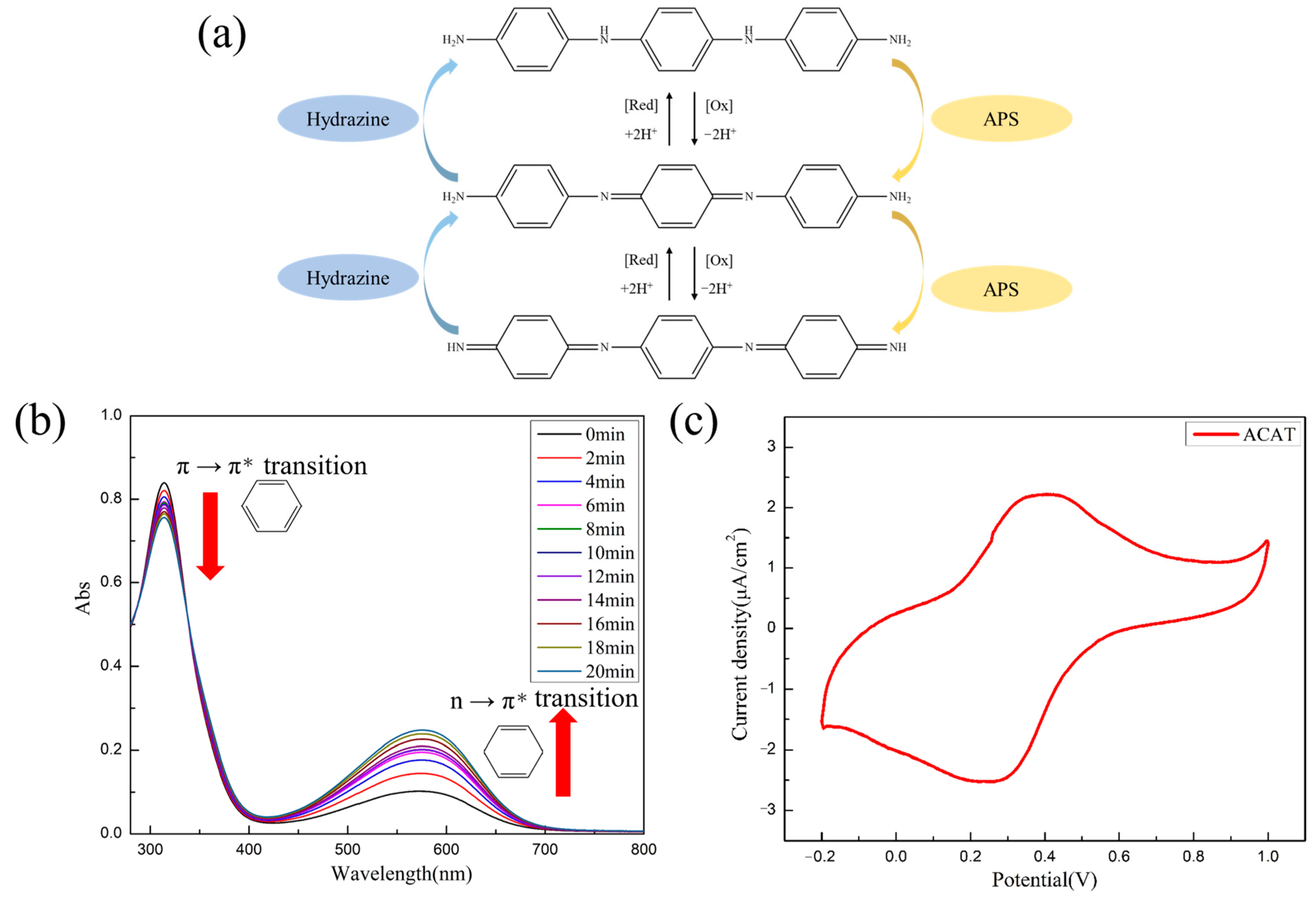 Polymers 16 01252 g004