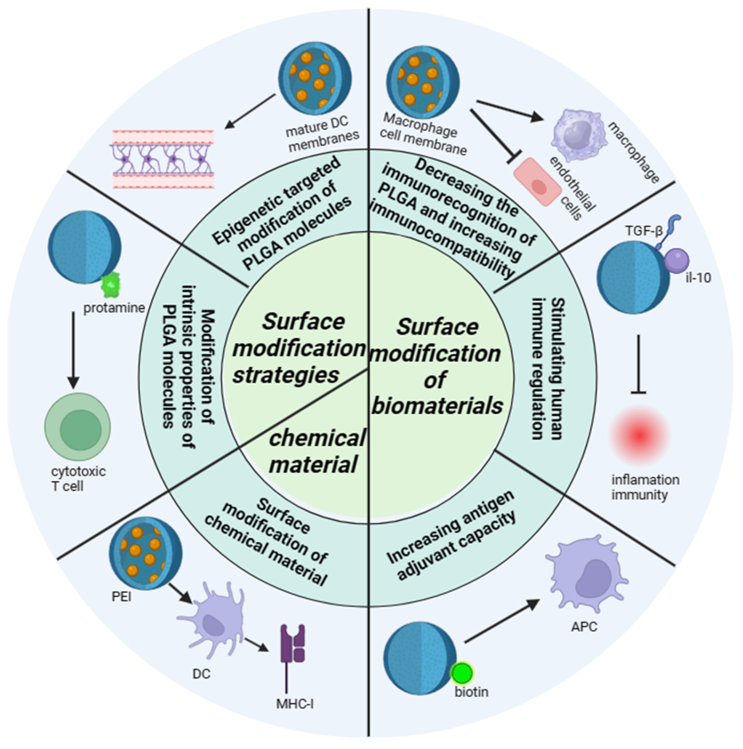 Polymers 16 01253 g003