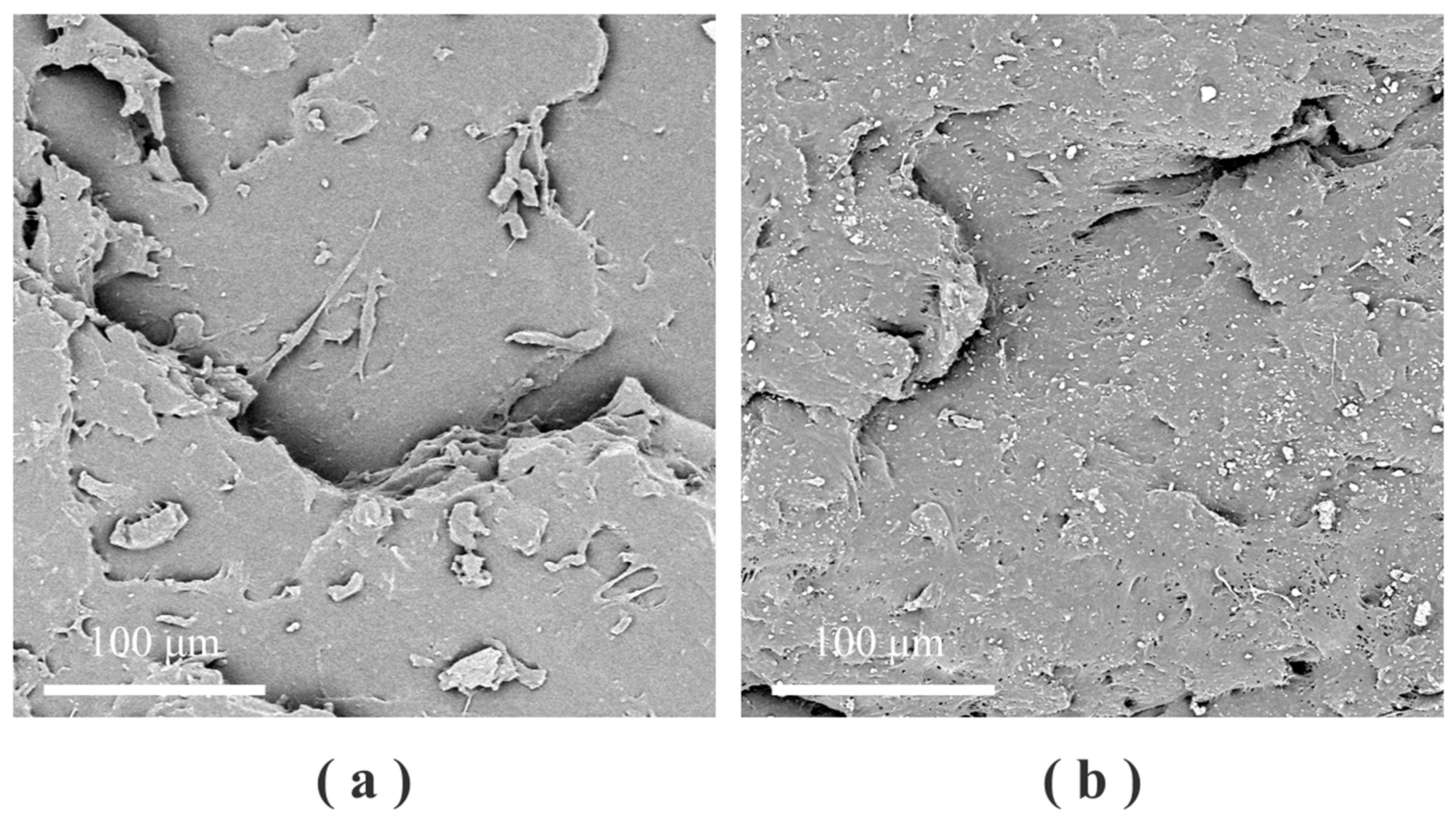 Polymers 16 01256 g003
