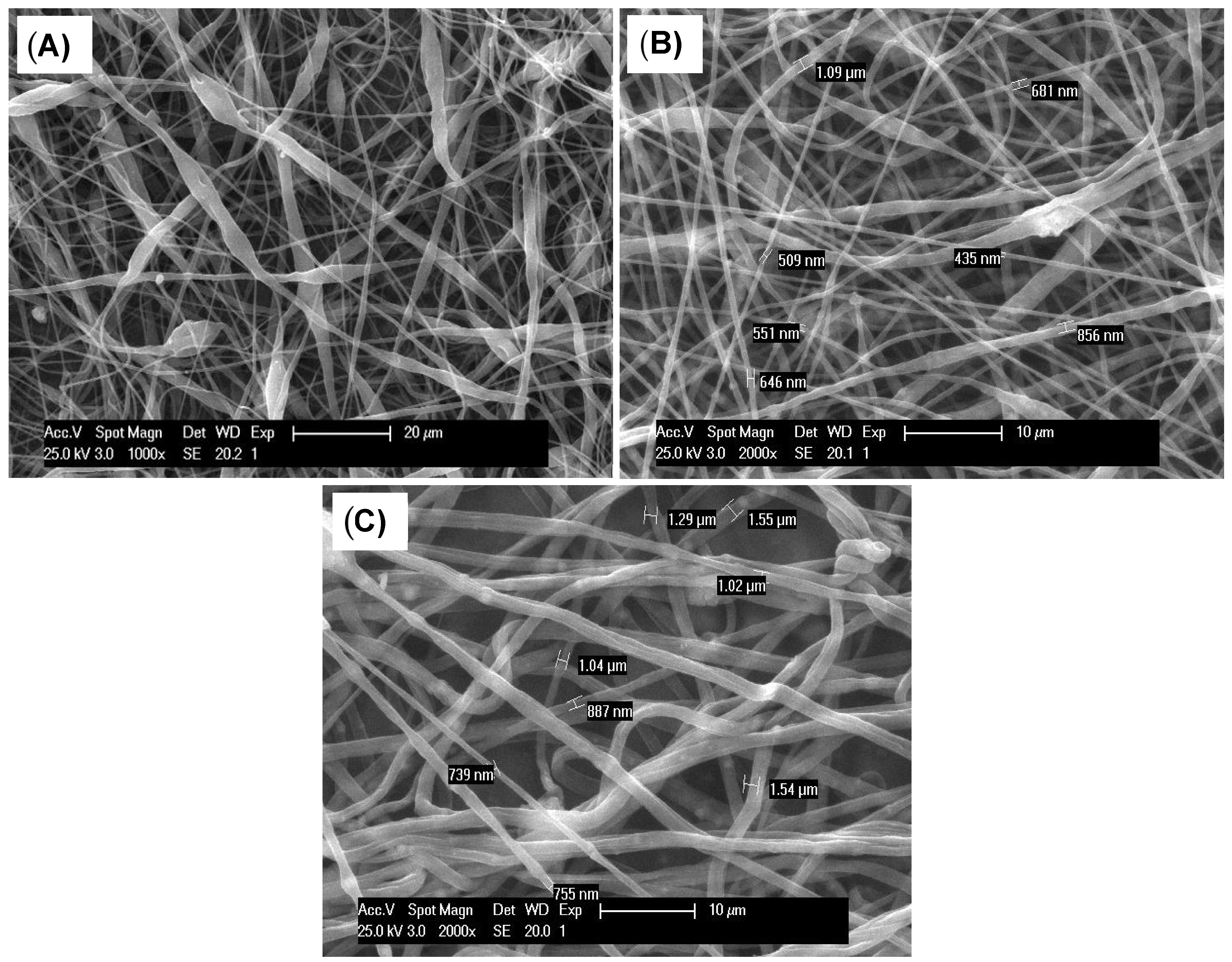 Polymers 16 01258 g001