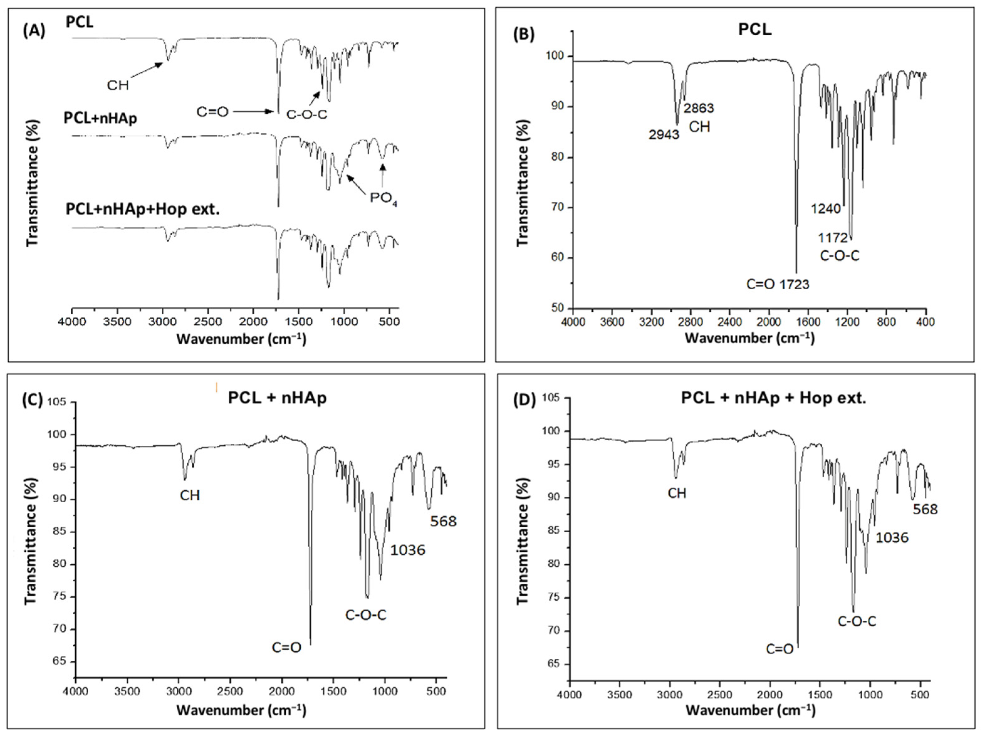 Polymers 16 01258 g003