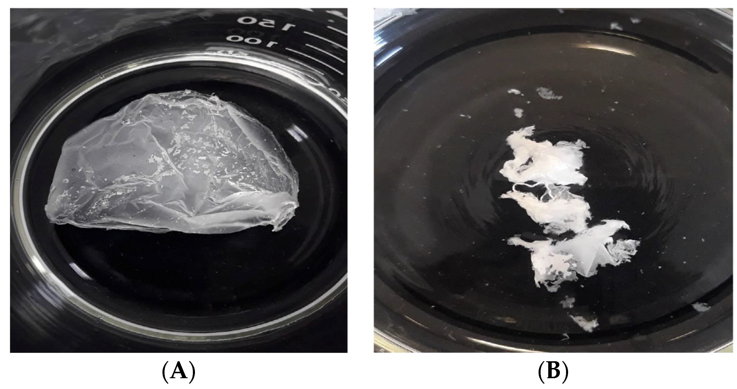 Polymers 16 01258 g004