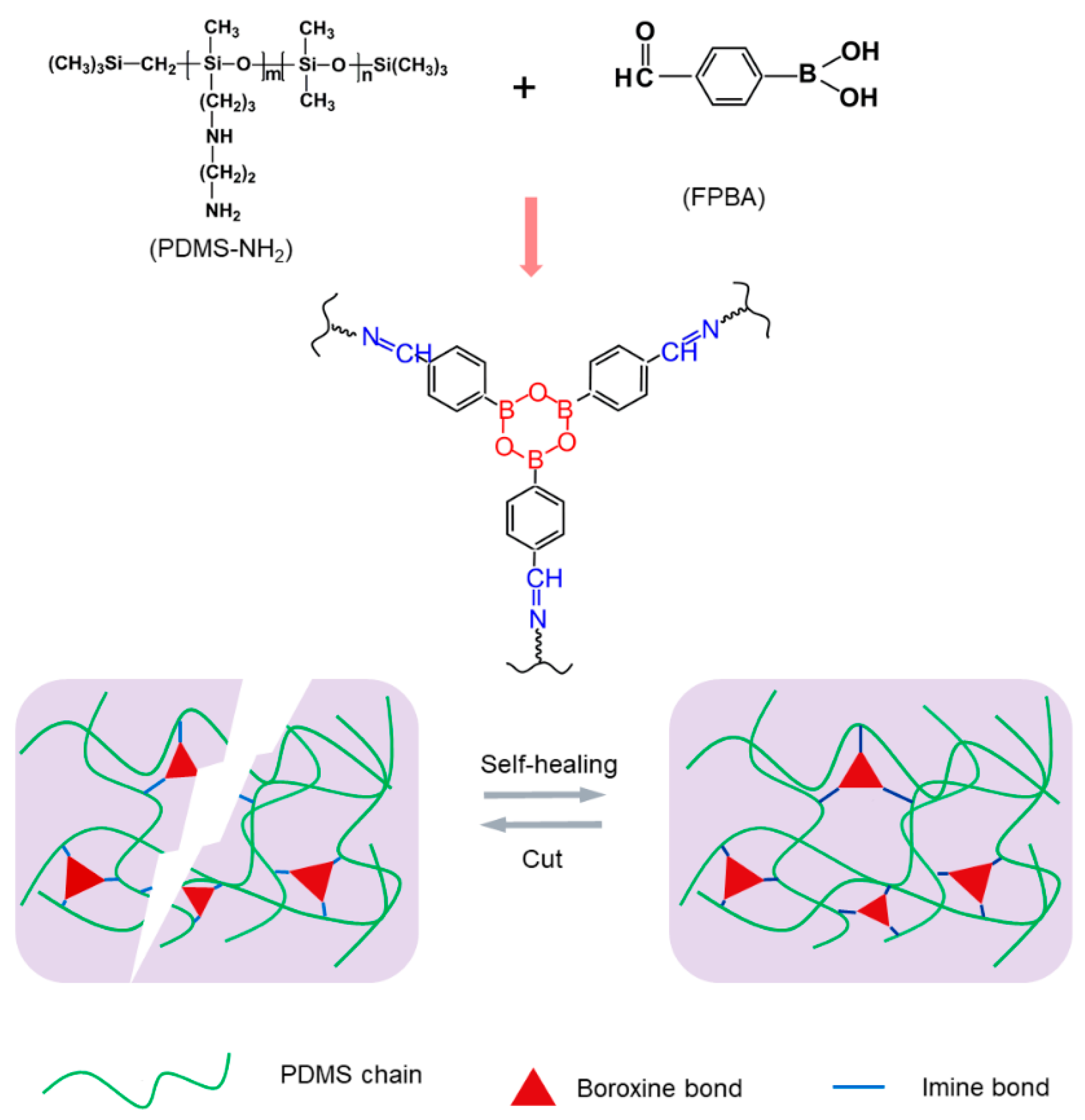 Polymers 16 01262 g001