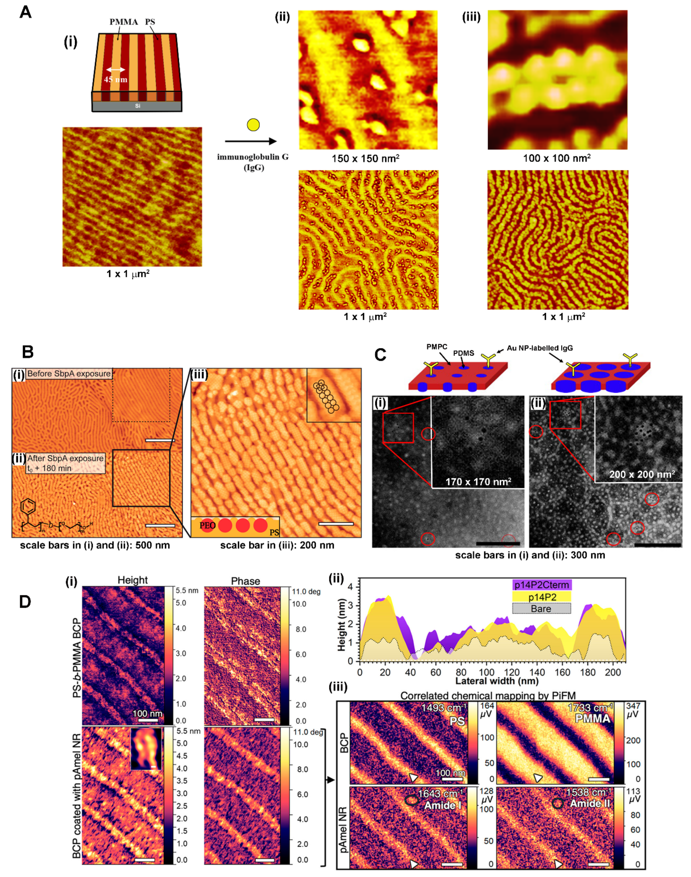 Polymers 16 01267 g003