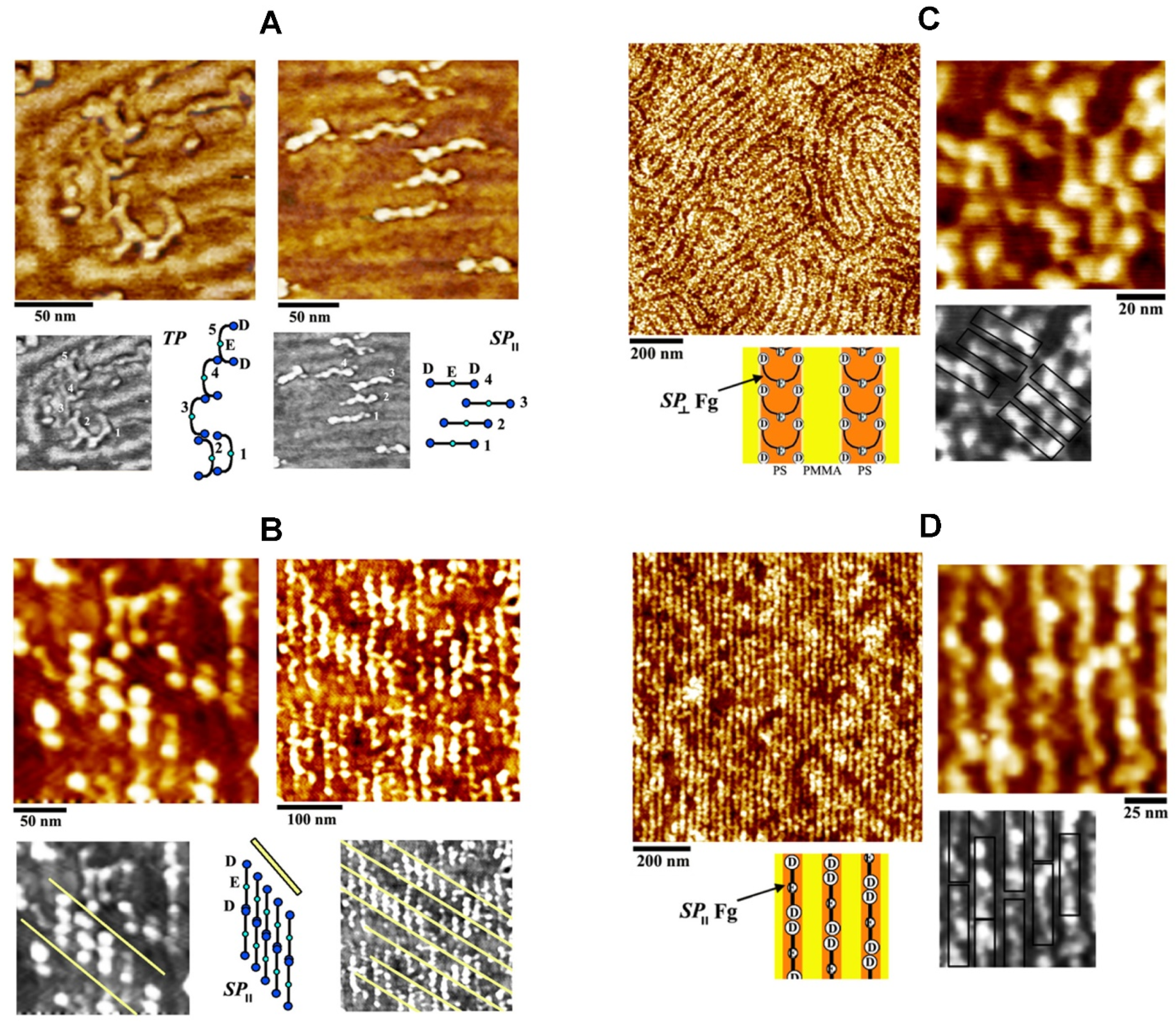 Polymers 16 01267 g004